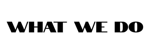 What We Do.jpg